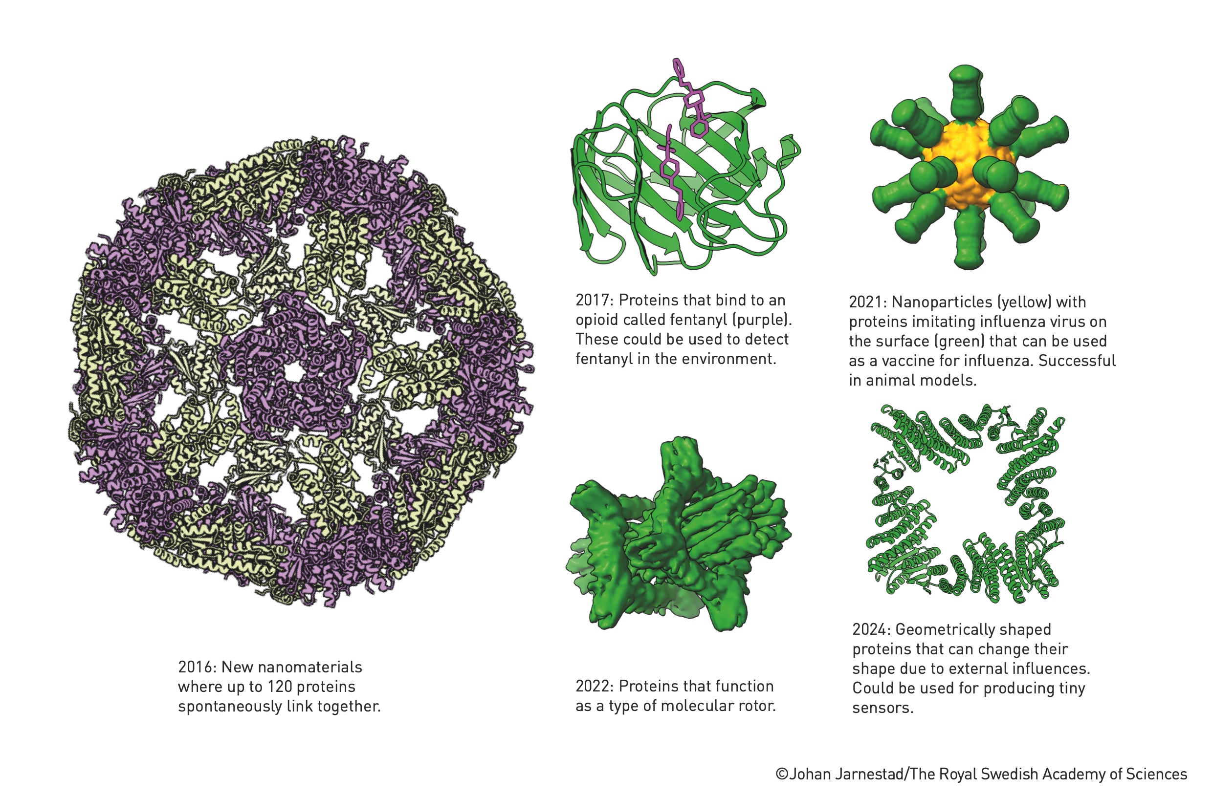 Protein-Based Nanoparticle Vaccine
