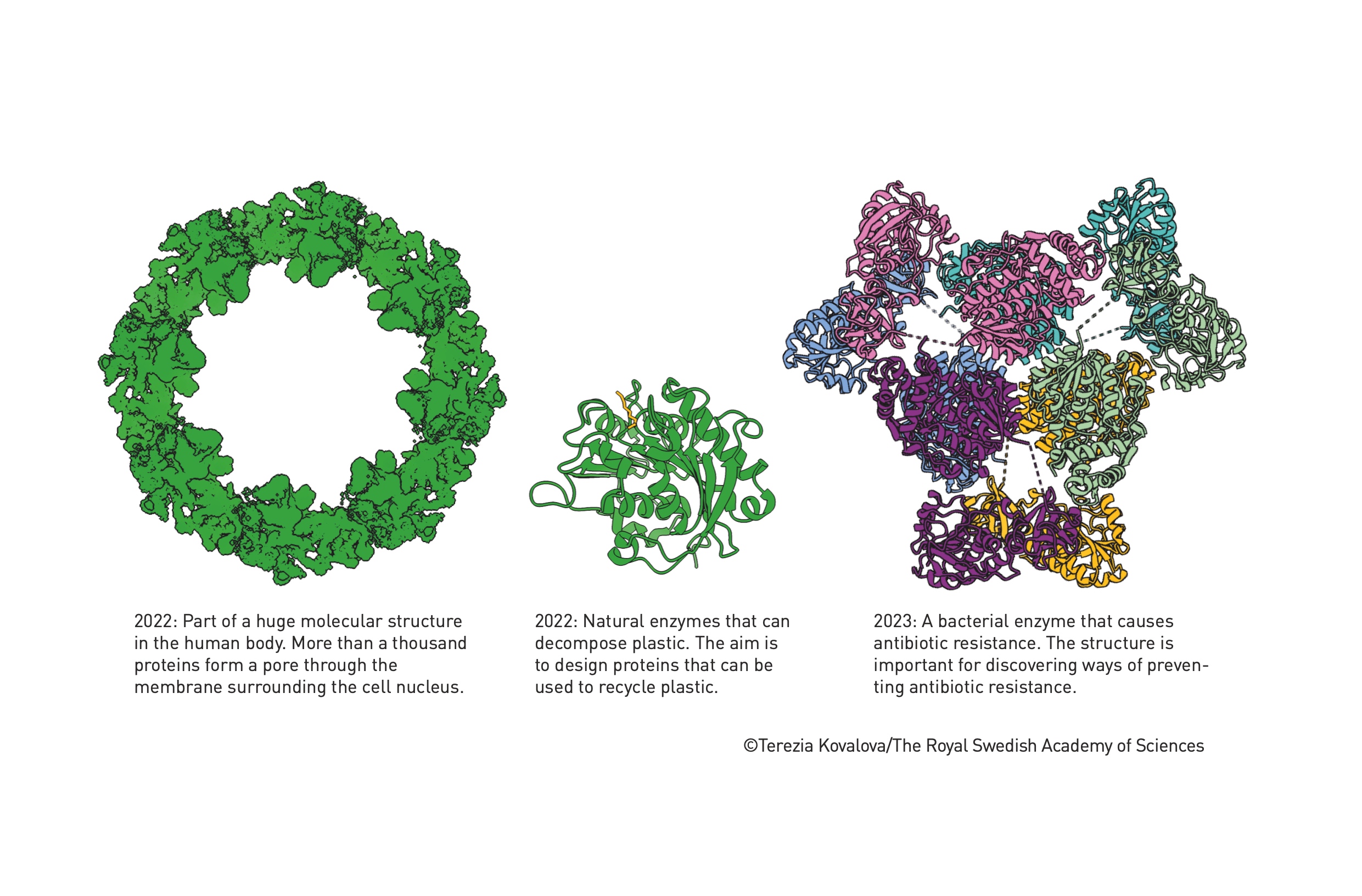 Plastic-Degrading Enzymes